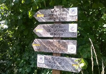 Tocht Stappen Auxi-le-Château - Sentier Les Capris - Photo