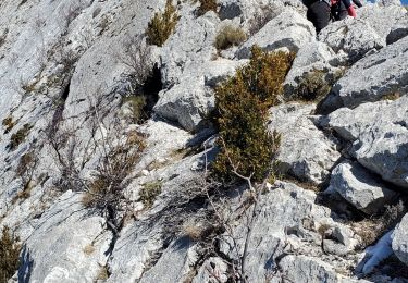 Randonnée Marche Castellane - robion sommet - Photo