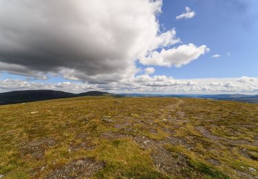 Excursión A pie  - Guldtur 12: Anderssjöarna runt - Photo