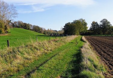 Randonnée Marche Grez-Doiceau - Archennes - Gottechain - Photo