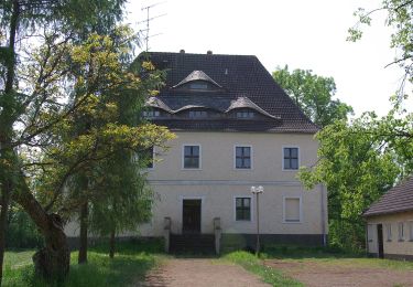 Randonnée A pied Alt Zauche-Wußwerk - Wanderweg Kannomühle - Neu Zauche - Caminchen - Photo