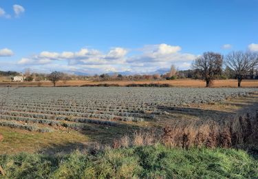 Randonnée Marche Puygiron - Puygiron 7km - Photo