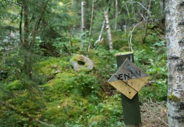 Randonnée A pied  - Orsa Gröna Ringen - Photo