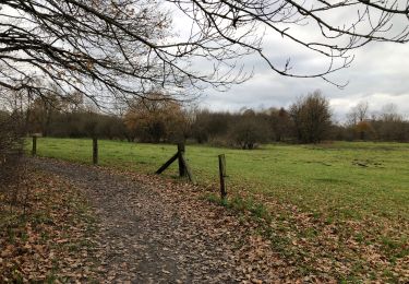 Tocht Stappen Huldenberg - Dyle - Photo