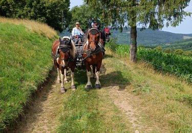 Trail Horseback riding Les Salles - la Plagne  - Photo