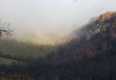 Percorso Sentiero Saint-Cernin-de-Larche - 20210117 Chasteaux 14k 530D - Photo