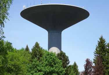 Excursión A pie  - Skogsmilen Flemingsbergsskogen - Photo