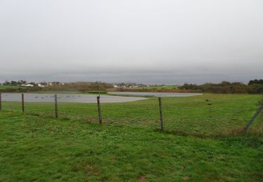 Tocht Te voet Cauville-sur-Mer - Cauville sur mer - Photo