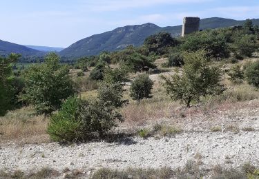 Tour Wandern Roche-Saint-Secret-Béconne - Rachas par Roche Saint-Secret - Photo