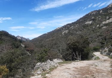 Trail Walking Sorède - Lavail,  petit aller-retour le long de la massane - Photo