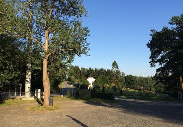 Tour Zu Fuß Söhrewald - Premiumweg P24 Söhrewald - Photo