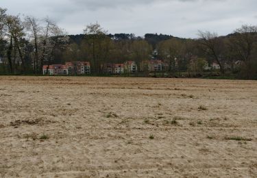 Randonnée Marche Braine-le-Château - Promenade Piedescaus  - Photo