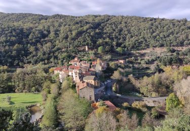 Excursión Senderismo Prunet-et-Belpuig - BOULETERNAIRE TRINITE - Photo