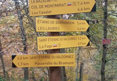 Tour Wandern Saint-Étienne-du-Valdonnez - gorges du Bramont - Photo