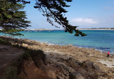 Tour Wandern Pleumeur-Bodou - Île Grande  - Photo