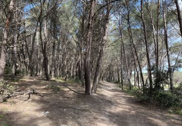 Randonnée Marche Istres - Martigues entre les étangs de Citis et Lavalduc - Photo