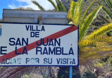 Trail Walking Los Realejos - San Juan de la Rambla - Photo