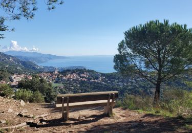 Tocht Stappen La Turbie - fort de la Revère - Photo