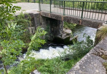 Tour Wandern Seneffe - Seneffe - Ronquières / 2020-08-22 - Photo