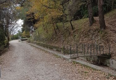 Tour Wandern Nizza - Nice Parcours 2 - Photo