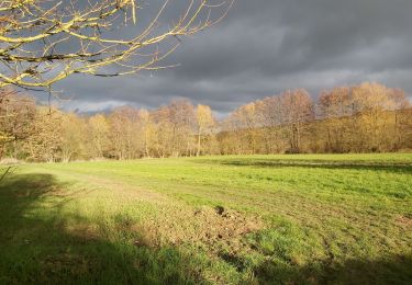 Tour Wandern Perche en Nocé - vieux colonard  - Photo