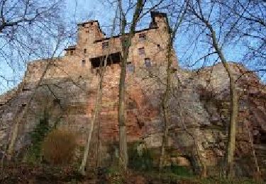Randonnée V.T.T. Climbach - De Climbach au château du Hans Traap. - Photo