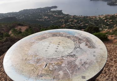 Tour Wandern Saint-Raphaël - 2024 10 14 - Agay Rastel - Photo