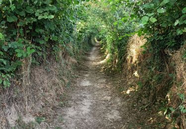 Trail Walking Marigny-Le-Lozon - Marigny - Photo