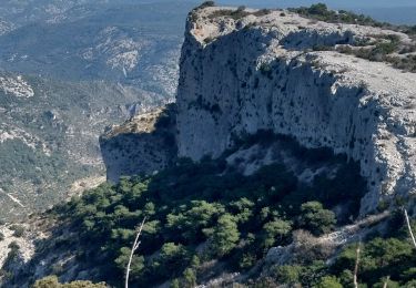 Trail Walking Saint-Guilhem-le-Désert - Saint guilhem manu - Photo