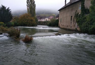 Tocht Stappen Arbois - Arbois 22 oct 2019 CAF - Photo