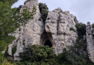 Randonnée Marche Allauch - Pilon du Roi - Photo