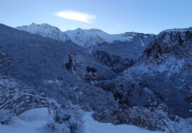 Tocht Stappen Les Deux Alpes - Le Garcin- Deux Alpes - Photo
