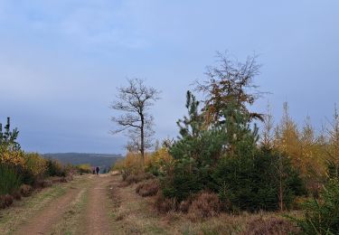 Trail Walking Rendeux - Marche ADEPS Marcourt - Photo