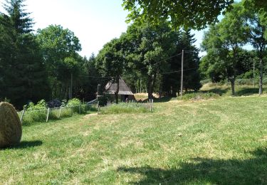 Tour Wandern Cros-de-Géorand - Circuit de l'eau. Cross de Georand. Ardèche  - Photo