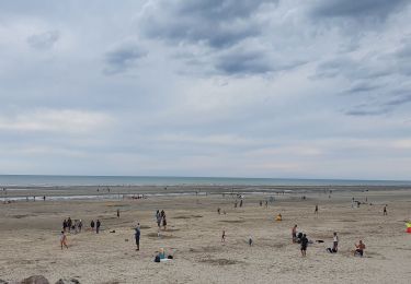 Tocht Stappen Quend - quend-plage - Photo
