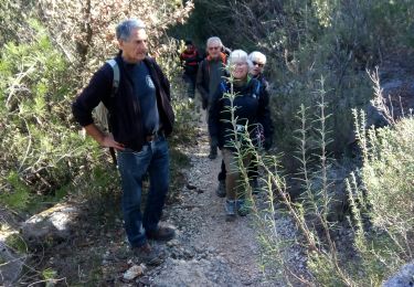 Randonnée Marche Nans-les-Pins - Nans-sources de l'Huveaune  - Photo