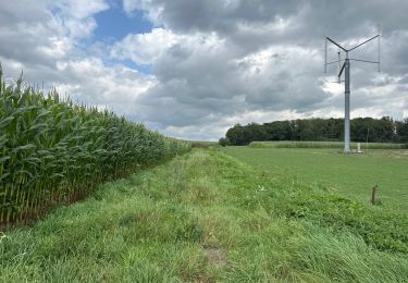 Randonnée Marche Tournai - Mont St Aubert 13,8 km - Photo