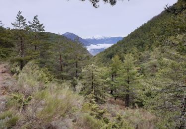 Tocht Stappen Veynes - Cuberselle - Photo