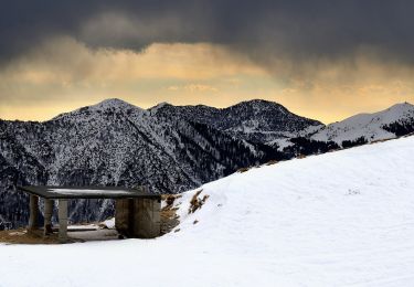 Percorso A piedi Collio - Collio (Tizio) - Monte Colombine - Photo