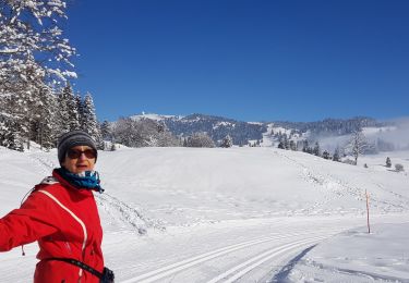 Excursión Esquí de fondo La Rippe - germine - Photo