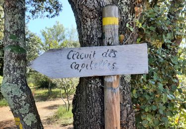 Trail Walking Arpaillargues-et-Aureillac - capitales 17 09 21 - Photo