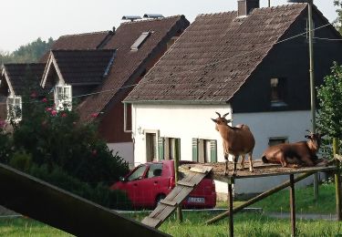 Tocht Te voet Overath - Fischermühle Rundweg A3 - Photo