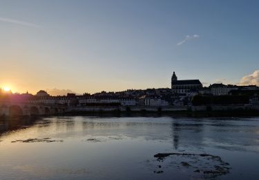 Percorso Bici ibrida Blois - Blois Chambord et retour - Photo