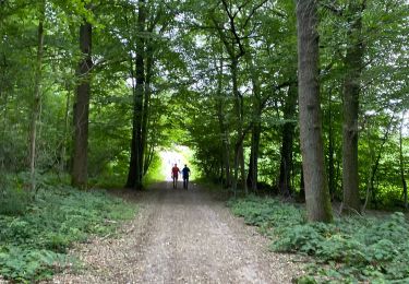 Tocht Stappen Havelange - Porcheresse  - Photo