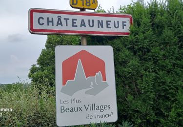 Tocht Stappen Châteauneuf - châteauxneuf  - Photo