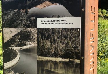 Tocht Stappen Aragnouet - Tour des lacs infra Néouvielle - Photo