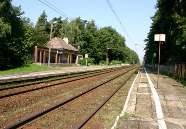 Excursión A pie  - Szlak Czerwony - Photo