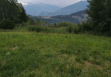 Tour Nordic Walking Arbaz - bittaya - Lombardon  - Photo