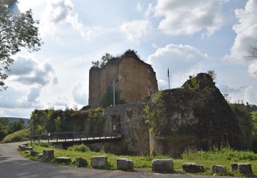 Tour Wandern Theux - 20210919 - Franchimont 7.3 Km - Photo