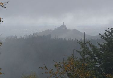 Randonnée Marche Wangenbourg-Engenthal - Obersteigen Rocher et Grottes - Photo